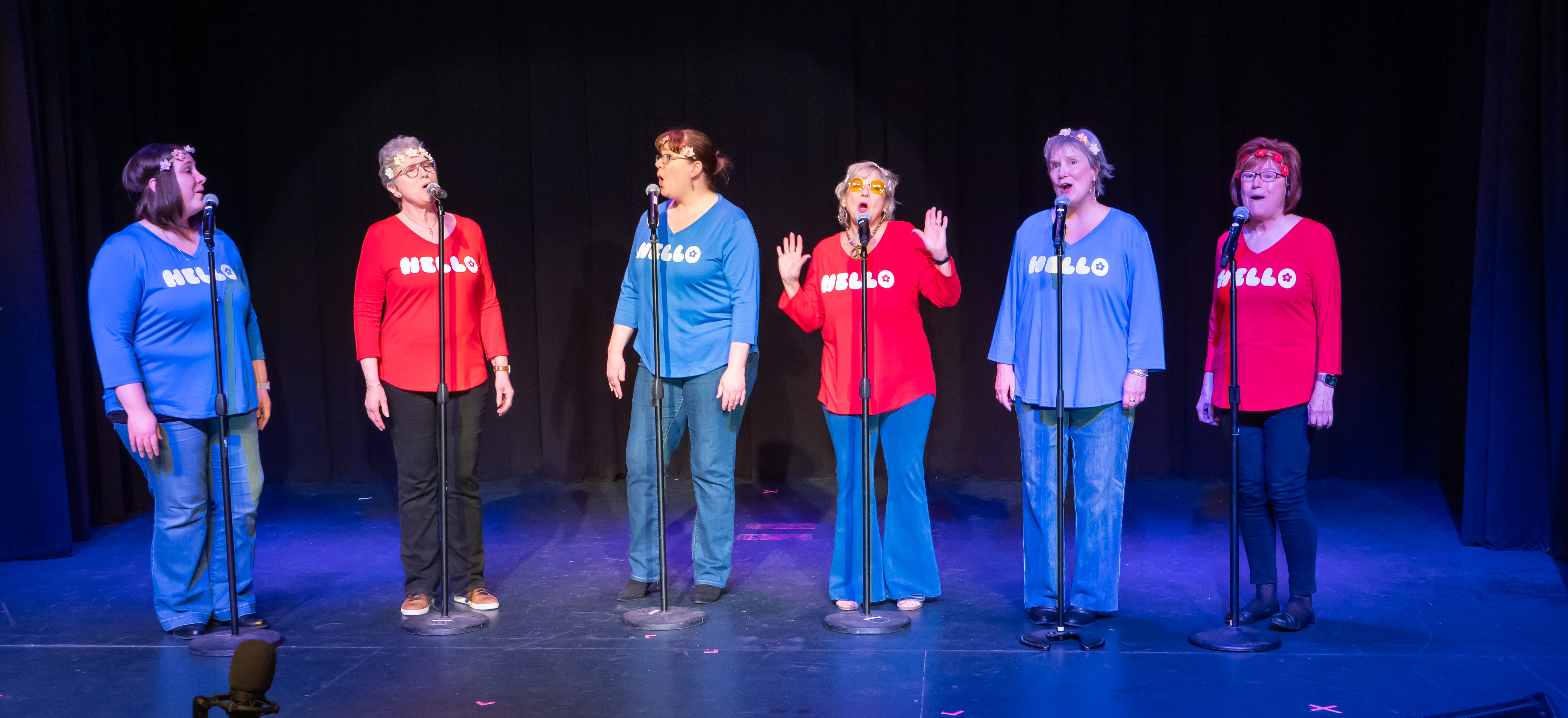 Cabaret Performance Picture