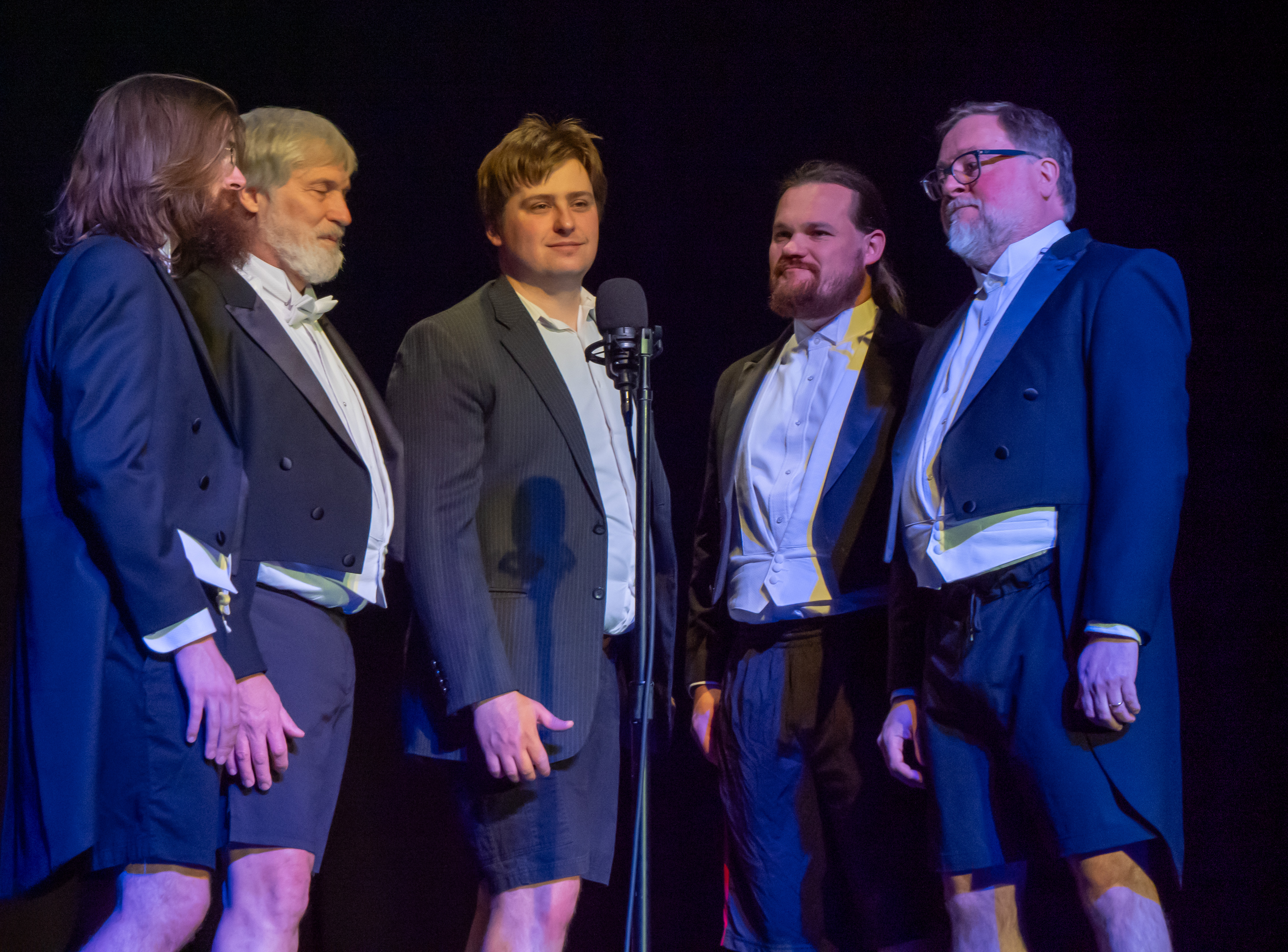 Cabaret Performance Picture